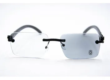 Хамелеон CAR 2831C1