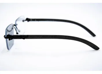 Хамелеон CAR 2831C1