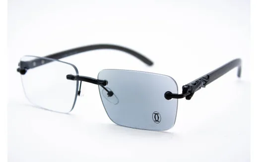 Хамелеон CAR 2831C1