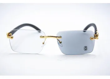 Хамелеон CAR 2831 C2