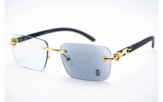 Хамелеон CAR 2831 C2