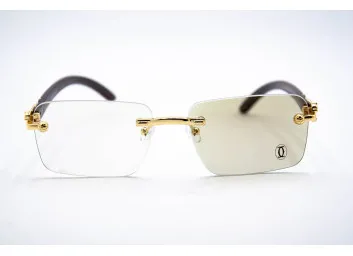 Хамелеон CAR 2831 C4