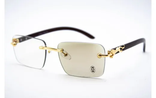 Хамелеон CAR 2831 C4