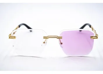 Хамелеон MB 27 C4