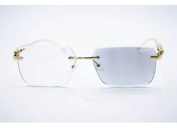 Car 0594 C1 Хамелеон