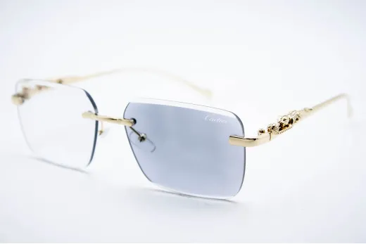 Car 0594 C1 Хамелеон