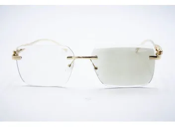 Car 0594 C2 Хамелеон