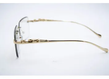 Car 0594 C2 Хамелеон