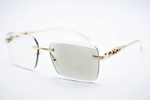 Car 0594 C2 Хамелеон