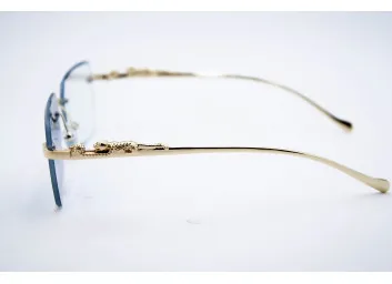 Car 0594 C3 Хамелеон