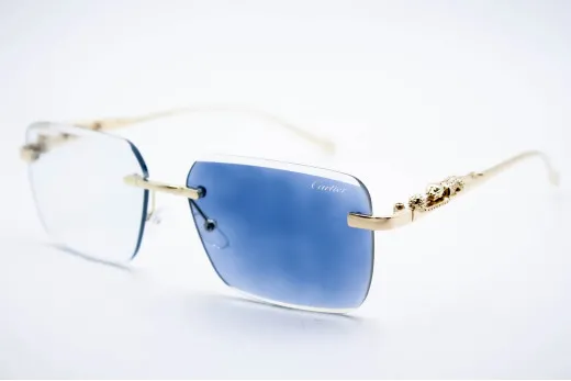 Car 0594 C3 Хамелеон