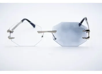 Car 565 C2 Хамелеон