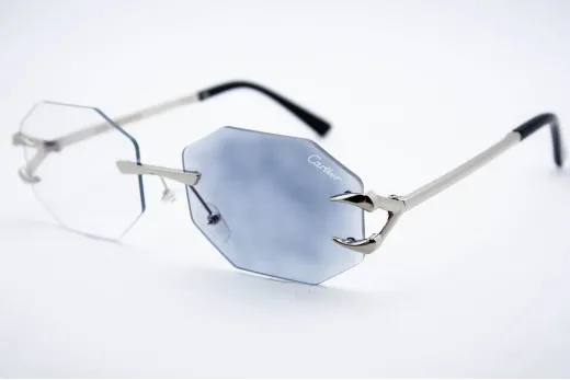 Car 565 C2 Хамелеон