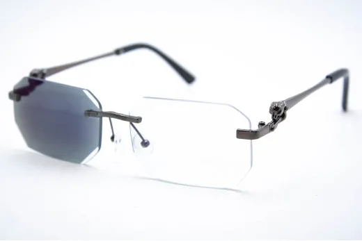 Хамелеон CAR 2626 C2