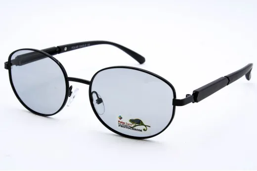 Хамелеон P06141 C1